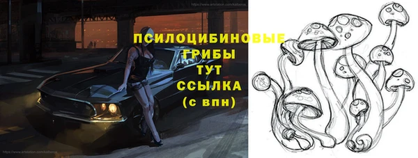 синтетический гашиш Белокуриха