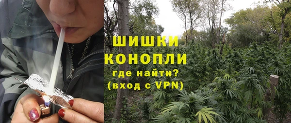 ПСИЛОЦИБИНОВЫЕ ГРИБЫ Белоозёрский