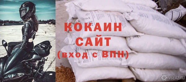 шишки Богданович