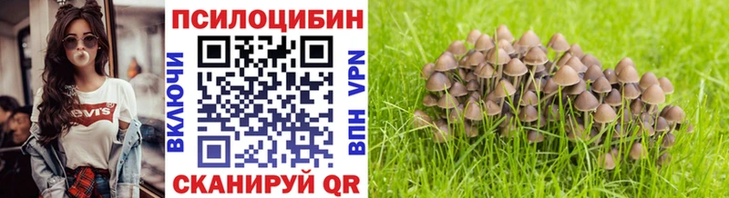 Псилоцибиновые грибы мухоморы  что такое наркотик  Олёкминск 